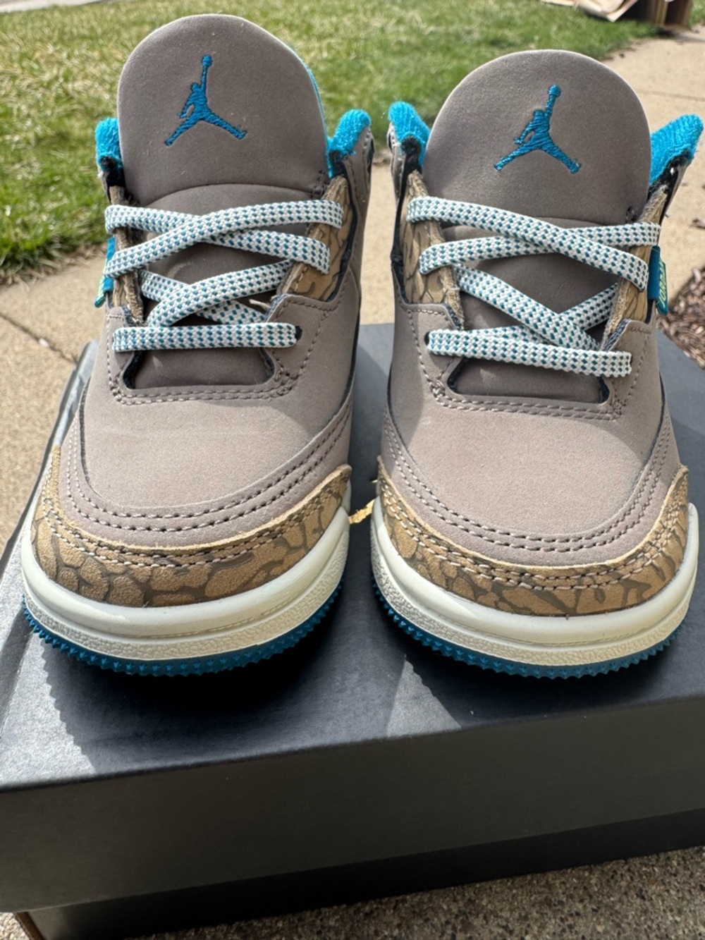 Jordan Kids Gray & Teal Elephant Print Low-Top Sneakers 7c